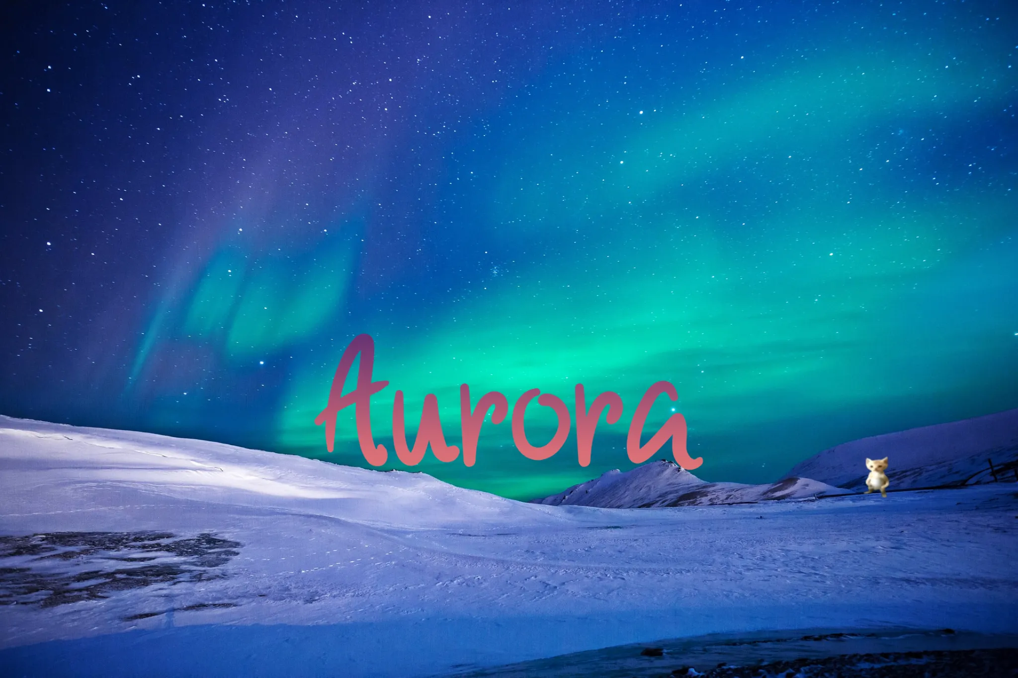 Aurora-themed snowy landscape with magical northern lights, the Aurora wordmark, and a small cat figure